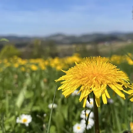 Waldliebe *