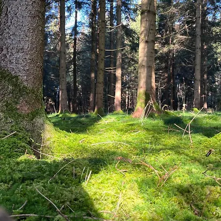 Waldliebe *